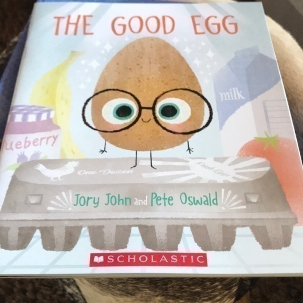 The Good Egg Book storybook